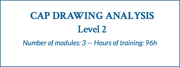  CAP DRAWING ANALYSIS Level 2 Number of modules: 3 — Hours of training: 96h