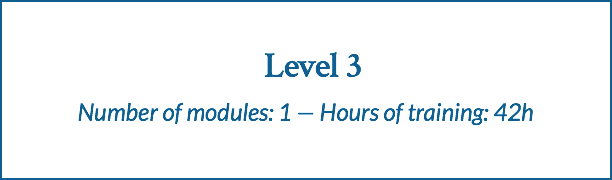  Level 3 Number of modules: 1 — Hours of training: 42h
